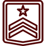Military Icon