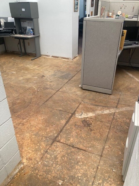 Commercial flooring renovation project in progress by GFC