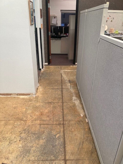 Commercial flooring renovation project in progress by GFC